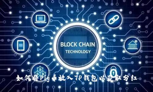 如何将Pig币放入TP钱包以获取分红