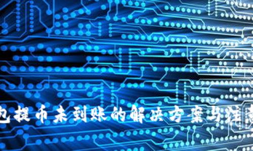 TP钱包提币未到账的解决方案与注意事项