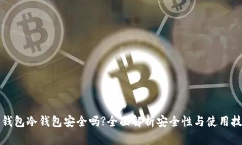 TP钱包冷钱包安全吗?全面解析安全性与使用技巧