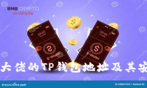 ### 币圈大佬的TP钱包地址及其安全使用指南