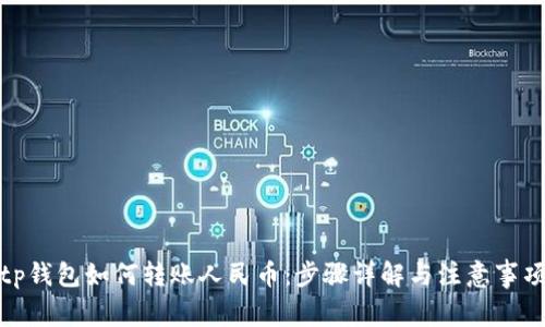 tp钱包如何转账人民币：步骤详解与注意事项